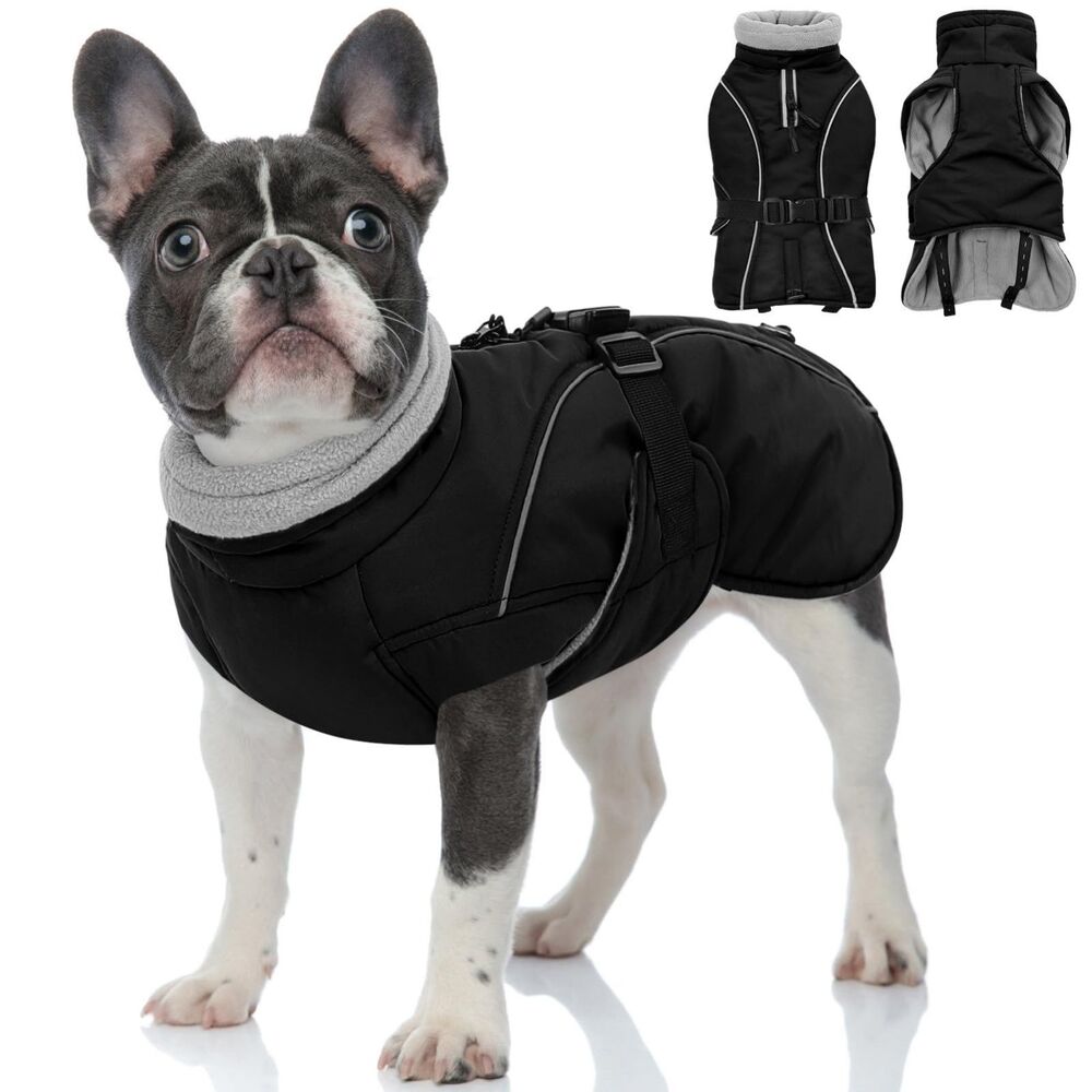 Queenmore Winter Dog Coat Waterproof Puffer Fleece Snowsuit, Black Small
